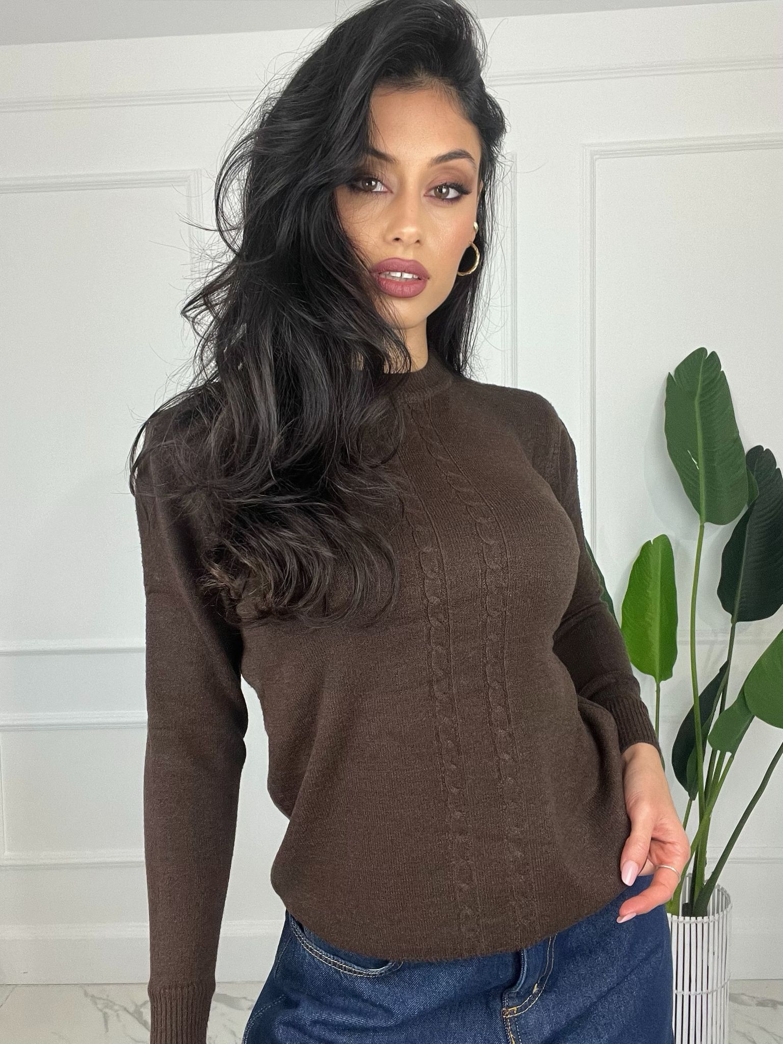 Pull Girocollo trecy